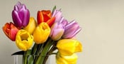 4 Good (&#038; 13 Bad) Mother&#8217;s Day Gifts to Give Your Girlfriend&#8217;s Mom