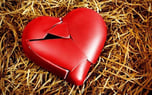 How to Love Again