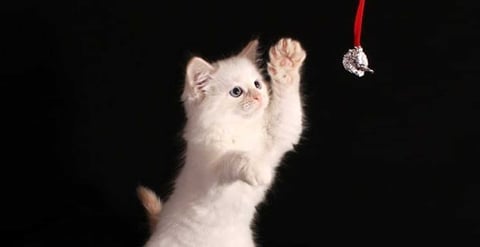 How To Play Hard To Get Do It Right