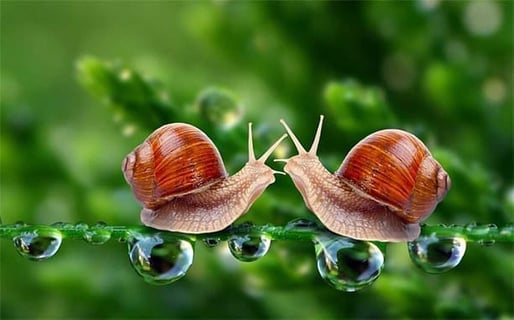 How Slow Too Slow Progress Relationship