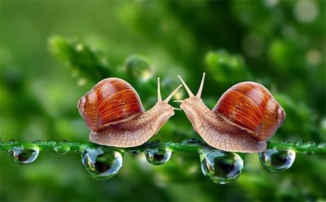 How Slow Too Slow Progress Relationship