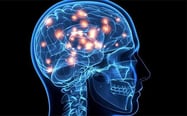 Does Porn Rewire Our Brains?