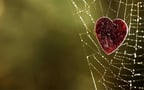 3 Ways for Women to Attract Love