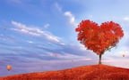How to Find Love This Fall