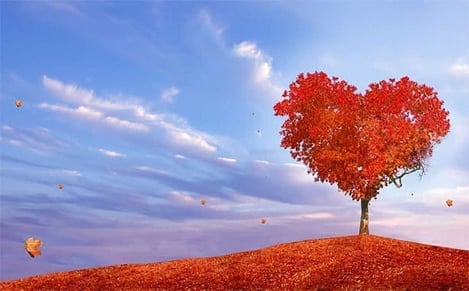 How To Find Love This Fall