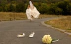 What to Do if You Don&#8217;t Want to Get Remarried