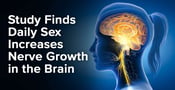 Study Finds Daily Sex Increases Nerve Growth in the Brain
