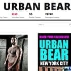 The Urban Bear