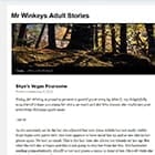 Mr. Winkey's Adult Stories