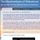 The Misadventures of Widowhood