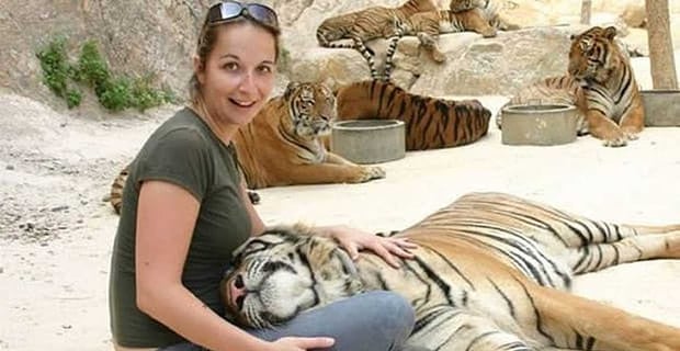 Tiger Pics Should You Follow The Trend