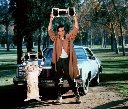 Say Anything