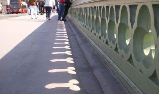 Boner Bridge