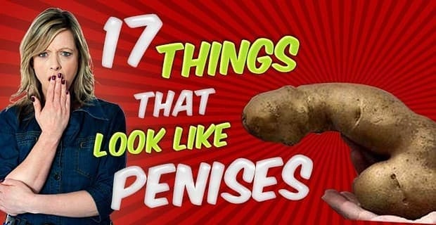 17 Things That Look Like Penises But Arent