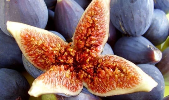 figs