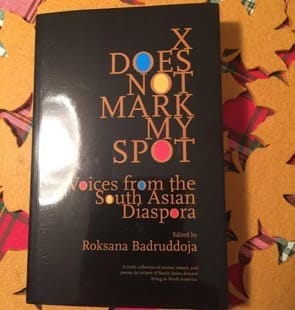Badruddoja's book looks at South Asian-American women and how they are constructed by American culture.