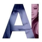 Attraction Institute
