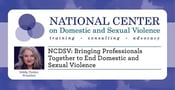 NCDSV: Bringing Professionals Together to End Domestic and Sexual Violence