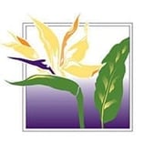 Community Action Stops Abuse St Pete Fl