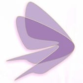 Domestic Violence Solutions For Santa Barbara County