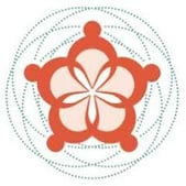 National Organization Of Asians & Pacific Islanders Ending Sexual Violence