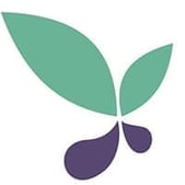 Oregon Coalition Against Domestic and Sexual Violence