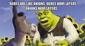 Photo of Shrek with onion layers