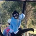 monkeybarrs monkeybarrs