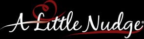 Photo of the A Little Nudge logo