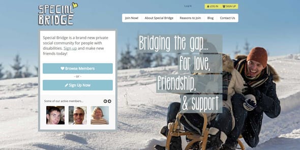 Screenshot of Special Bridge's homepage
