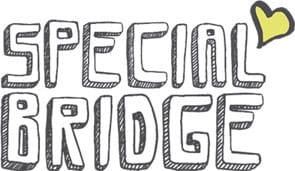 Photo of the Special Bridge logo