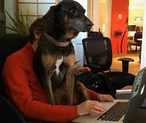 Andrew Sudbury and his dog at work