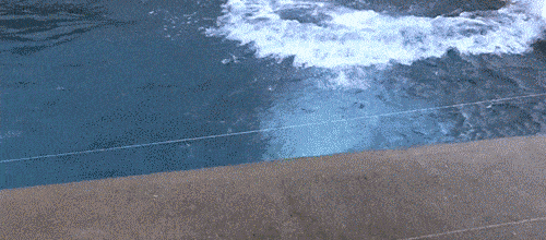 OMG Hi Bear GIF OMG Hi Bear GIF