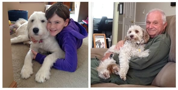 Photo of two successful AllPaws pet adoptions