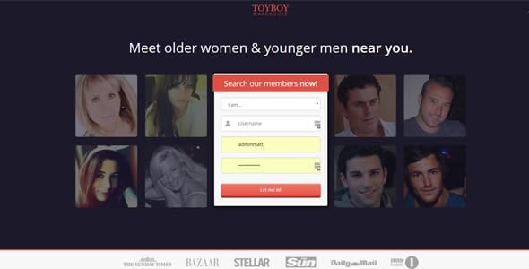 Screenshot of Toyboy Warehouse's homepage