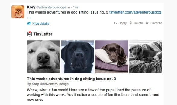 Screenshot of a TinyLetter Twitter post