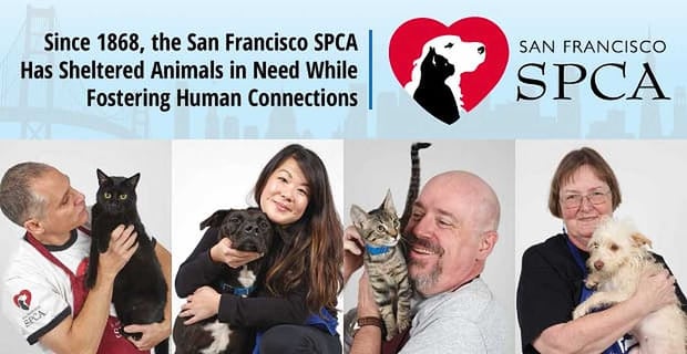 Sfspca Shelters Animals And Fosters Human Connections