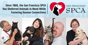 Since 1868, the San Francisco SPCA Has Sheltered Animals in Need While Fostering Human Connections