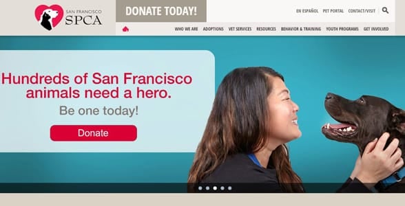 Screenshot of SF SPCA's homepage