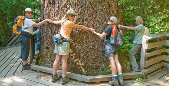 Photo of people hugging a tree