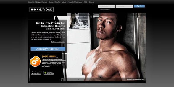 Screenshot of the Gaydar homepage