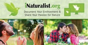 Nature Lovers Come Together on iNaturalist.org to Document Their Environment and Share Their Passion