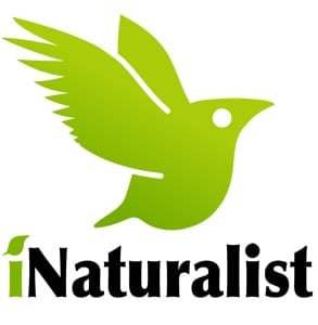 Photo of the iNaturalist logo