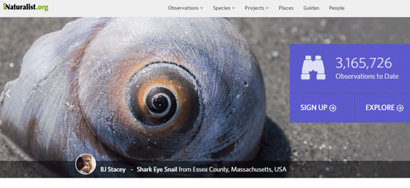 Screenshot of iNaturalist's homepage