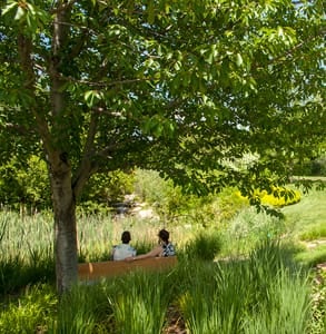 Photo of a couple visiting Red Butte Garden