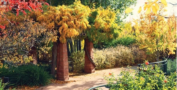 Photo of Red Butte Garden in the fall