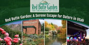 Since 1985, Red Butte Garden Has Offered a Serene Escape for Daters in Utah