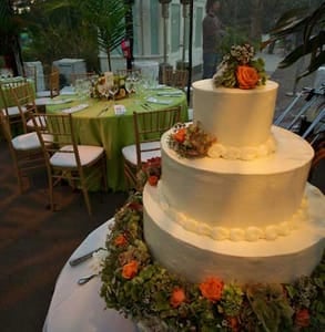 Photo of a wedding held at the Conservatory of Flowers
