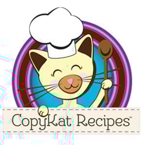 Photo of the CopyKat logo