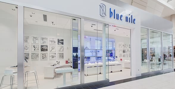 Photo of a Blue Nile Webroom in Washington Square